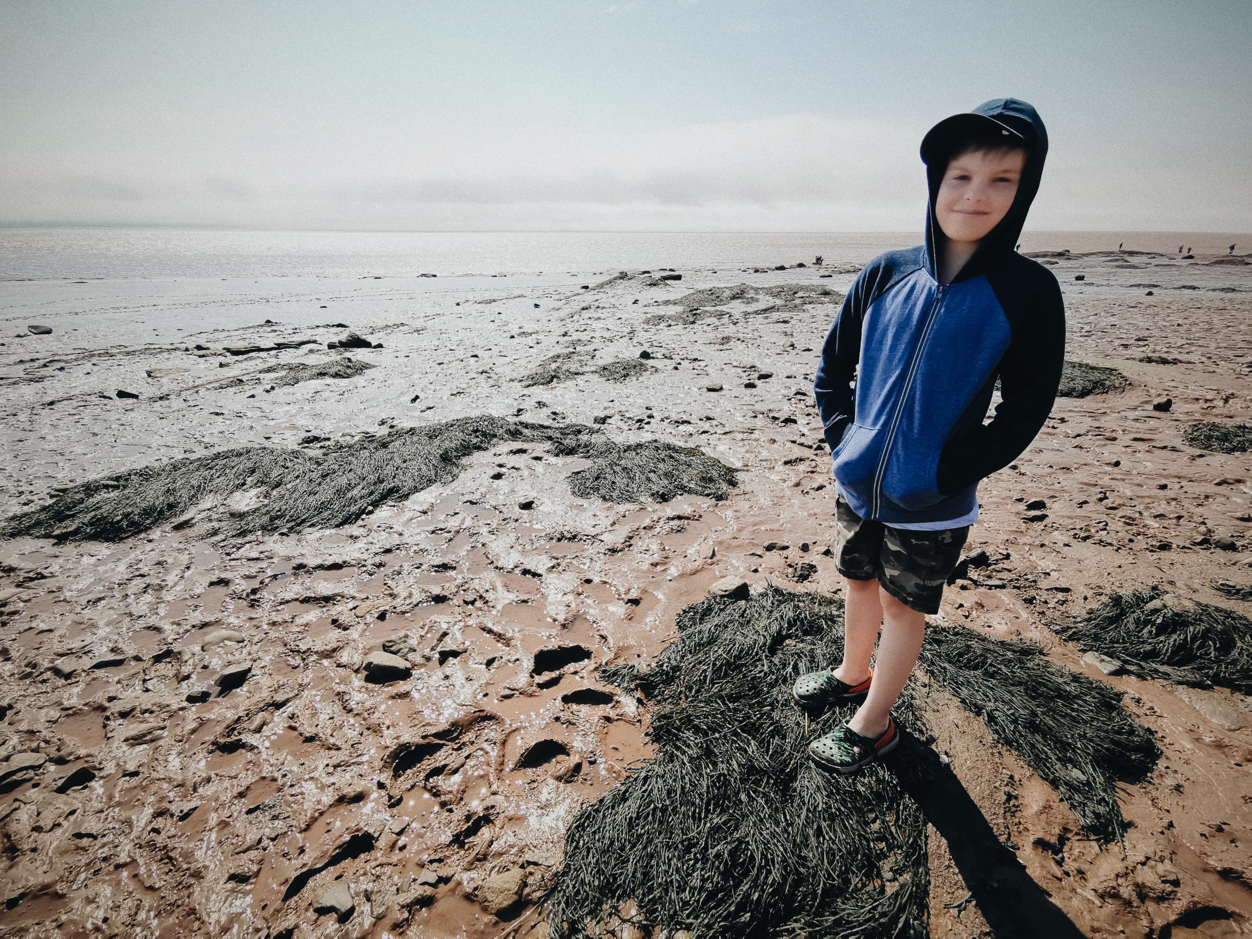 2019 07 06 06.19.07 1